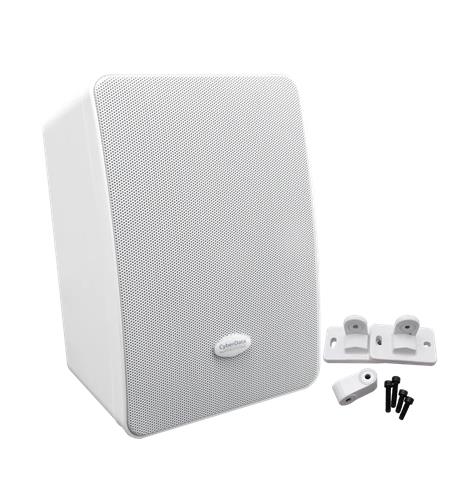 VoIP SIP/Multicast Wall Mount Speaker - CD-011512